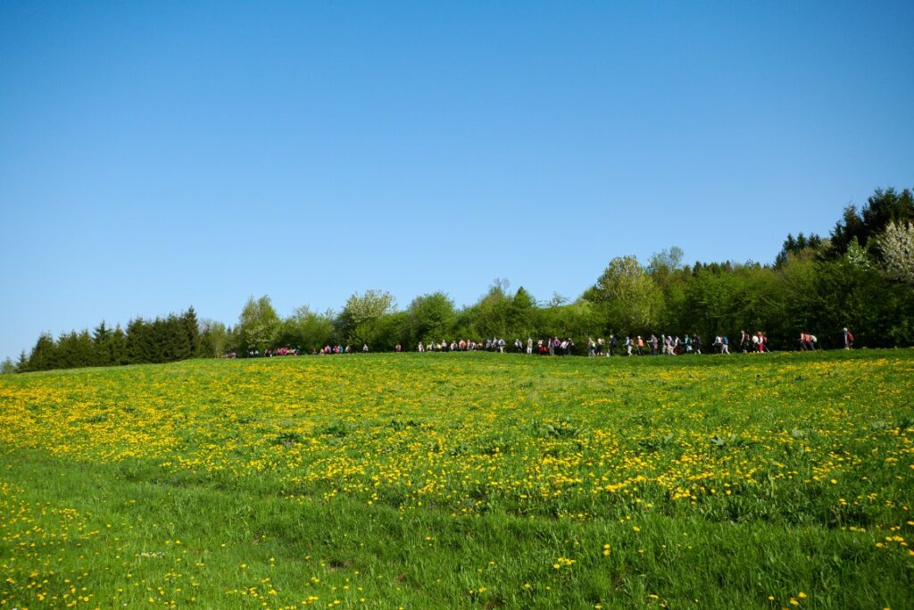 Gradiško