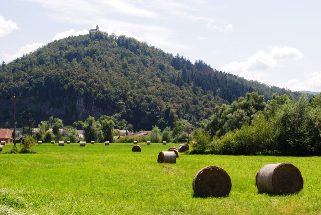 Brezovica